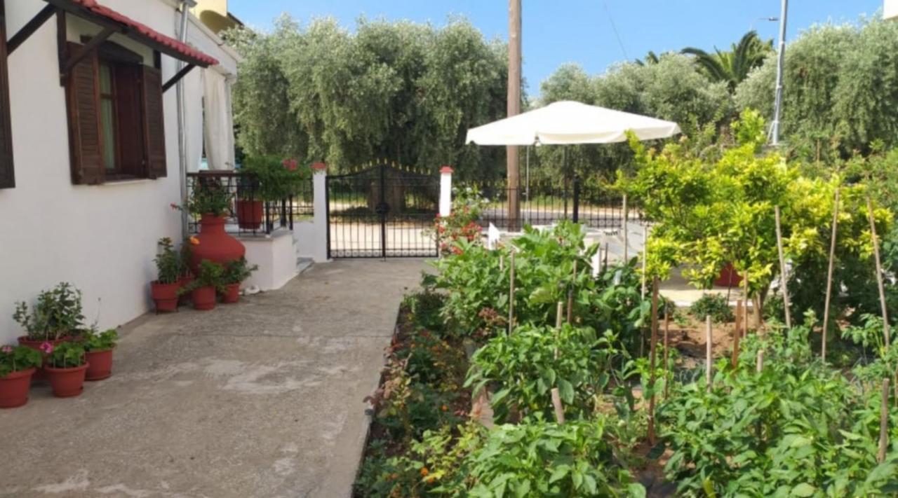 Katerina'S Cozy Home Skala Sotiros Dış mekan fotoğraf